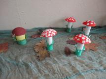 Podzim – houby